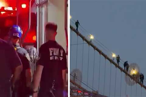 Distressed Woman Saved By NYPD Officers After Climbing Brooklyn Bridge