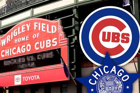 Chicago Police Aware of Viral Cubs Fan National Anthem Slap