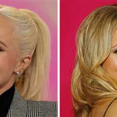 Months Before Her Sudden Death, Hayden Panettiere Shared Some Poignant Comments About Her Personal..