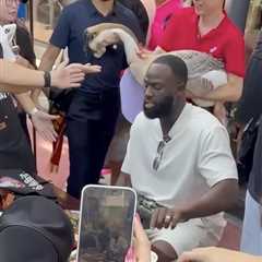 Sneaky goose leaves Warriors tough guy Draymond Green running scared: ‘Oh sh–‘