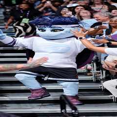 WNBA team reveals new ‘non-binary’ turtle mascot to taunt Indiana Fever star Sophie Cunningham