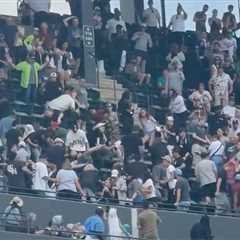 Fan leaps down two rows to stomp fellow spectator in wild brawl during Mets-White Sox game