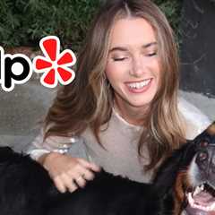 Dog Training Company Flooded With Bad Reviews After Influencer's Pet Dies