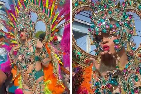 Rihanna Gets Down at Barbados Carnival in Elaborate Feather Costume