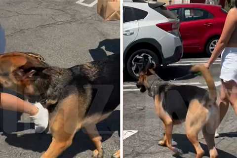 Woman Walking Dog In SoCal Heat Wave Scolded In Heated Exchange