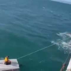 15-Year-Old Alaskan Boy Miraculously Survives Days at Sea After Boat Capsizes: Video